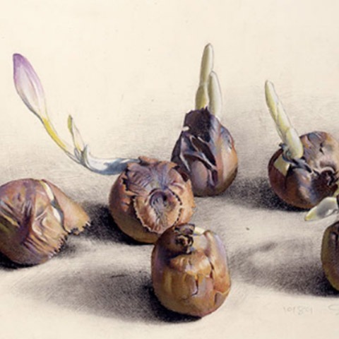 Period-of-Contemporary-Art-Image-5